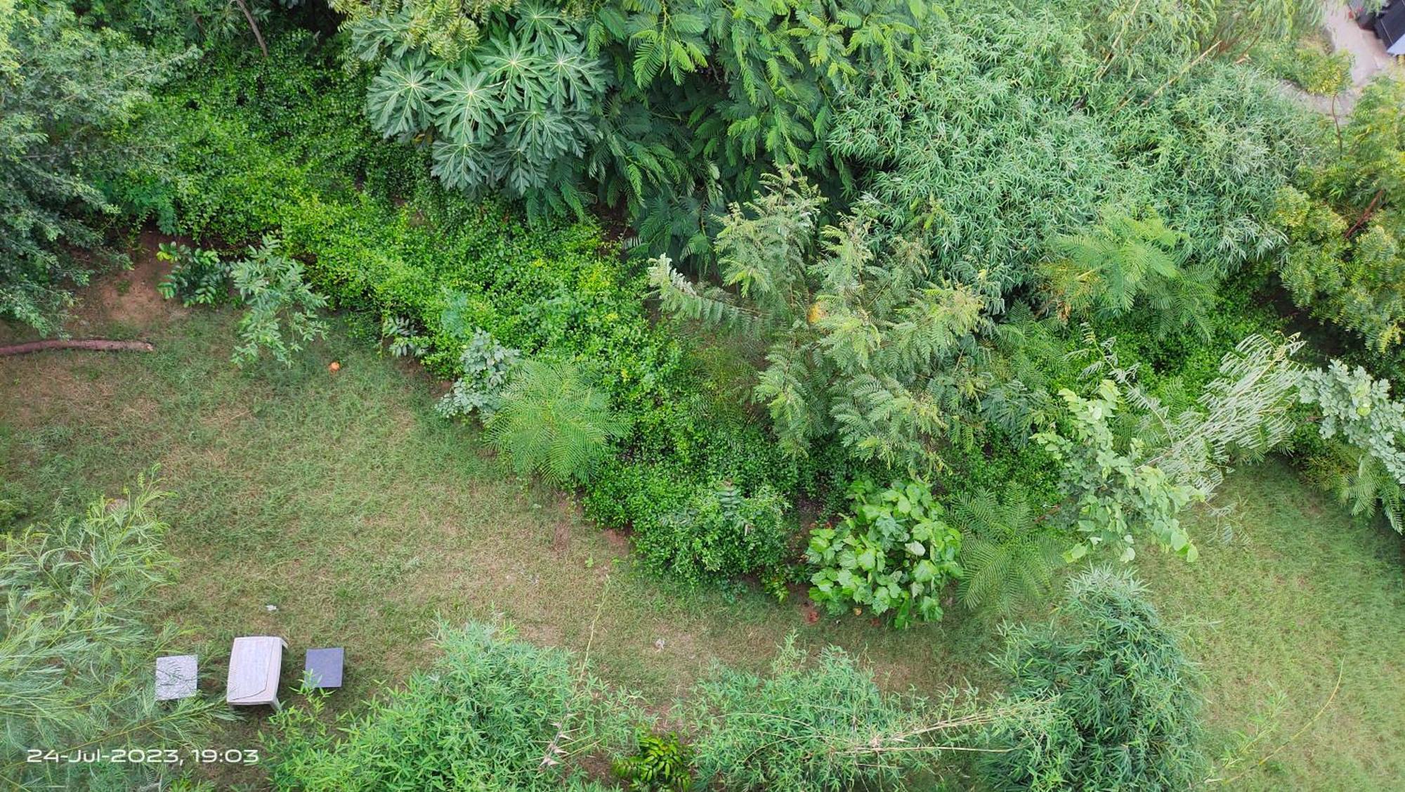 Osho Villa Guest House Jaipur Eksteriør billede